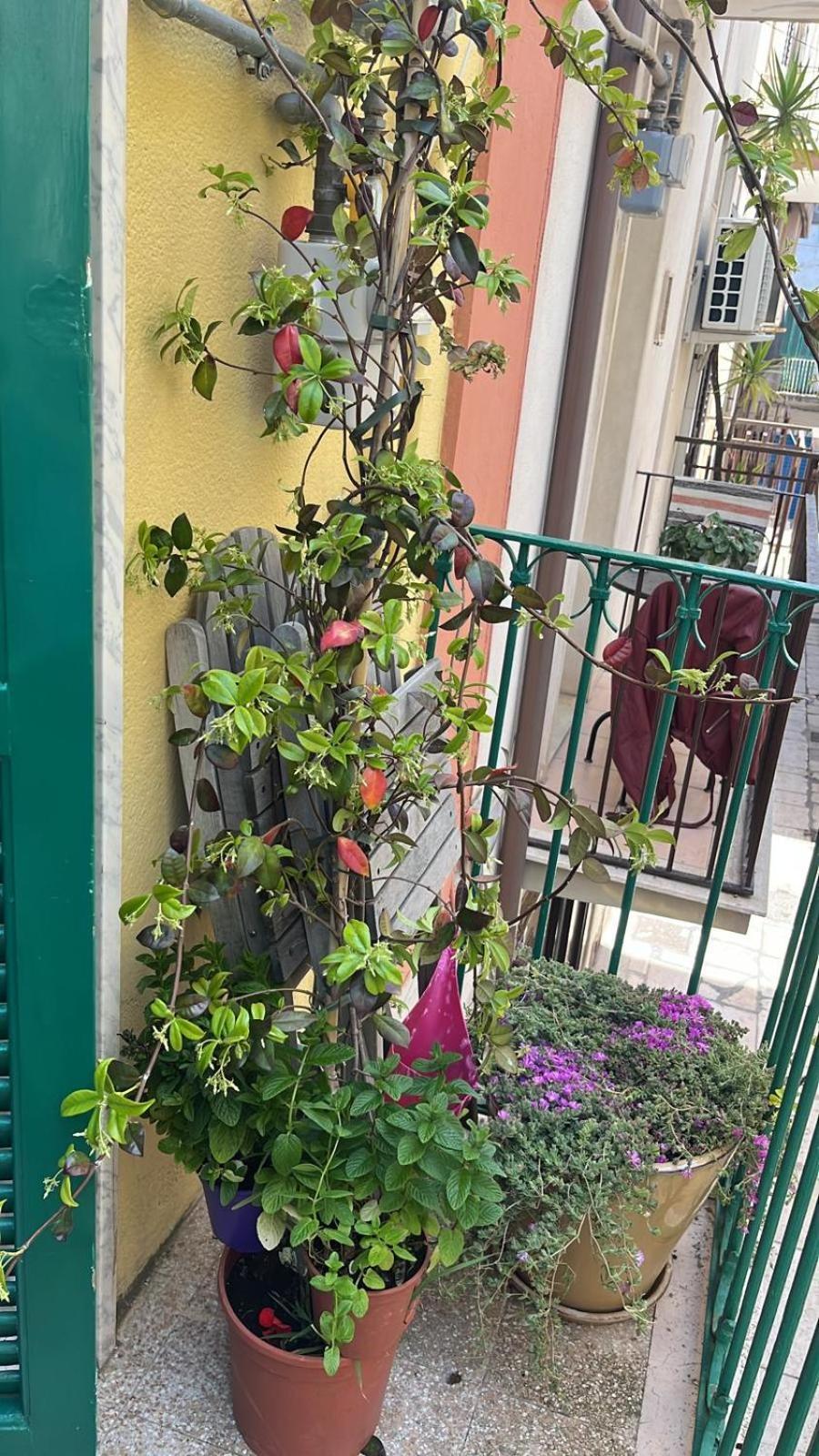 モーラ・ディ・バーリ La Casa Di Nonna Sisinaヴィラ エクステリア 写真