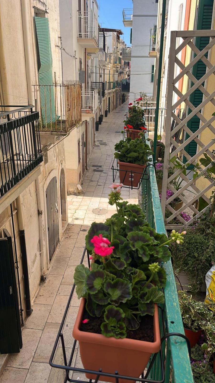 モーラ・ディ・バーリ La Casa Di Nonna Sisinaヴィラ エクステリア 写真